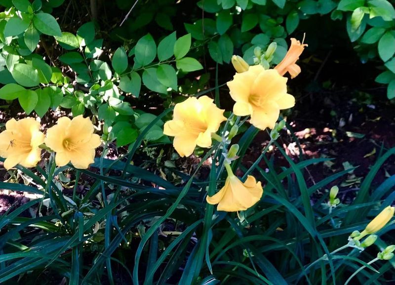 2022062110563560598 2022062110563560598