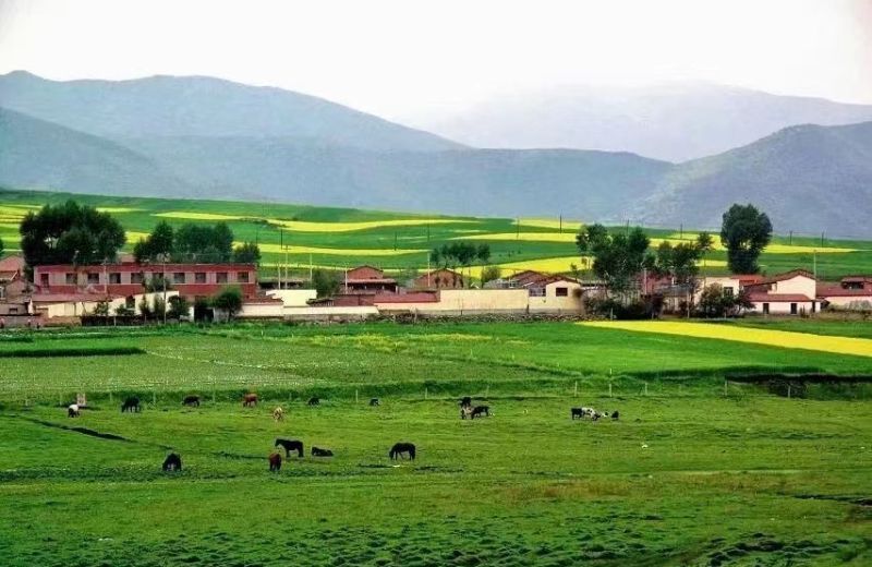 2022071309044387431 2022071309044387431