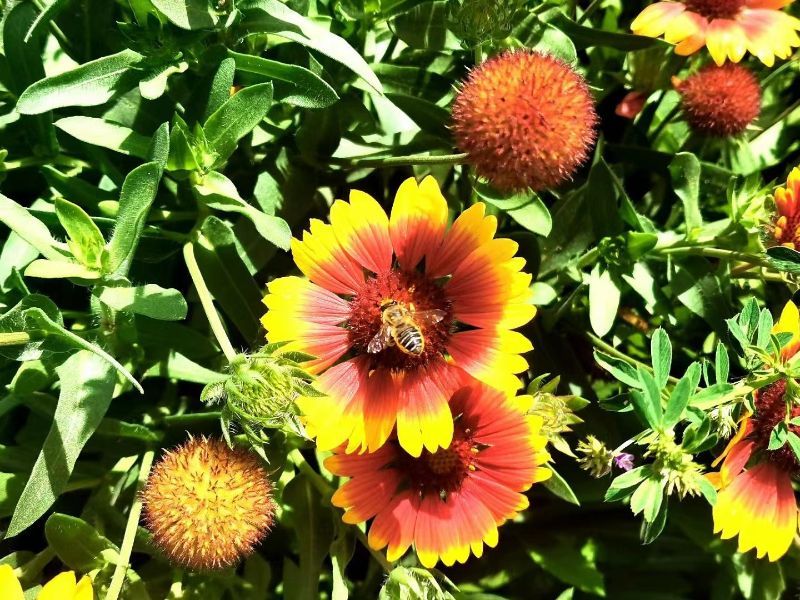 2022071410532192478 2022071410532192478