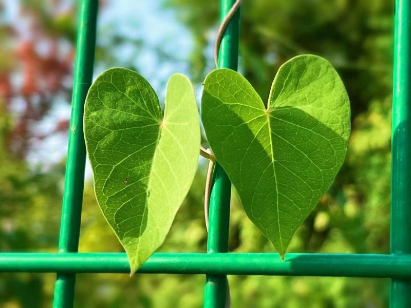 2022092806575683948 2022092806575683948